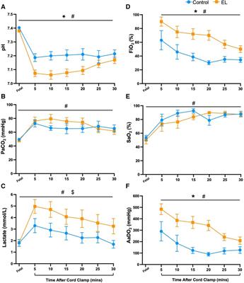 Adverse respiratory patterns in near-term spontaneously breathing newborn lambs with elevated airway liquid volumes at birth